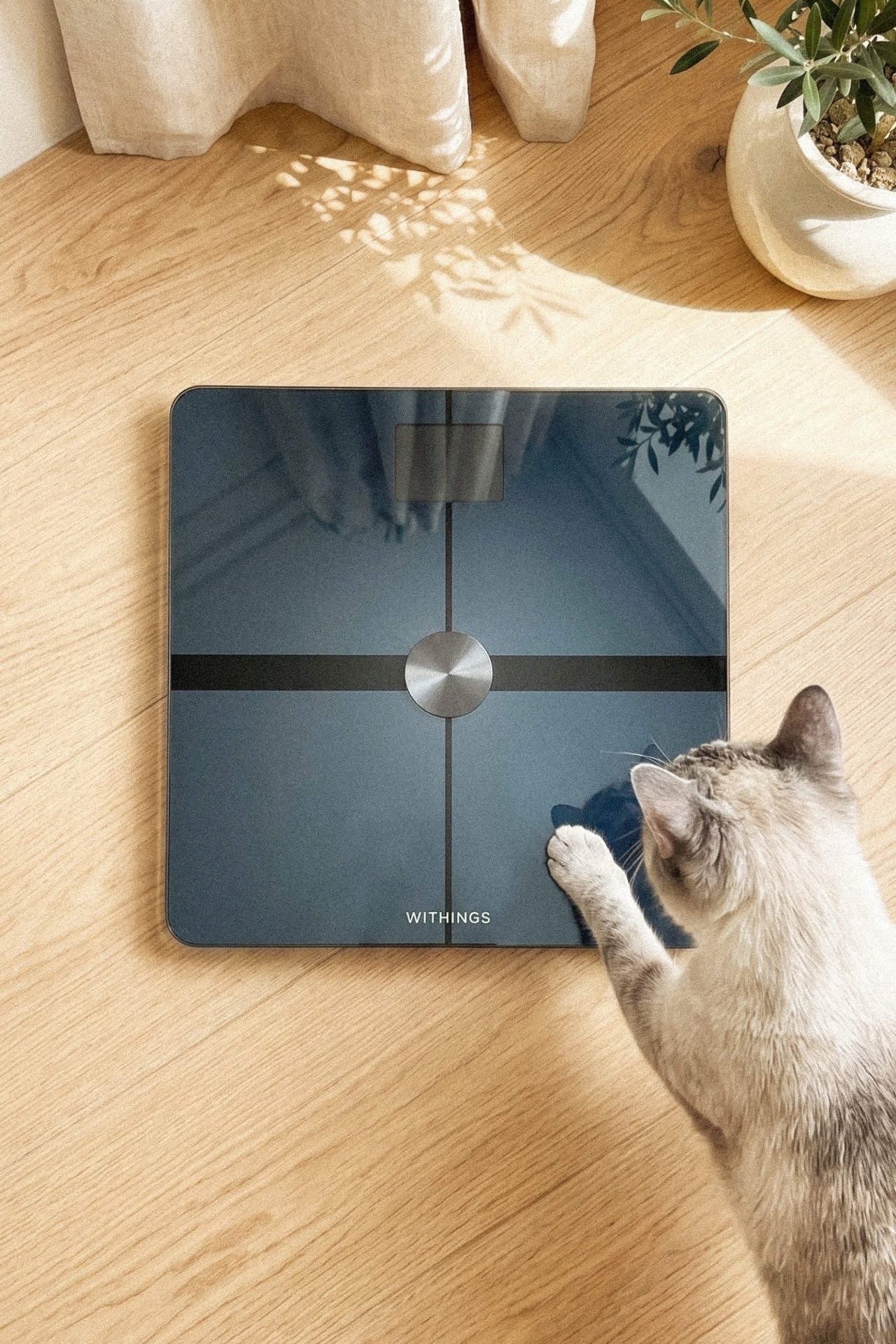 Withings Body Smart Scale&nbsp;(France)